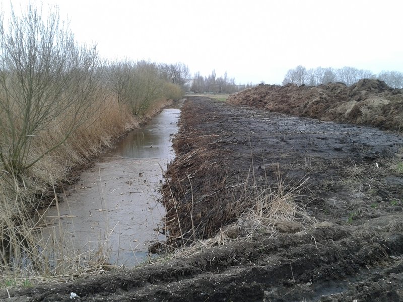 Ditch in the Diedrichshäger Moor project after completion of the compensation measure by ROSTOCK PORT.