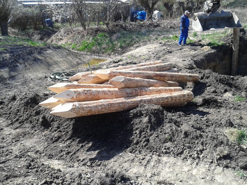 Ditch in the Diedrichshäger Moor project after completion of the compensation measure by ROSTOCK PORT.