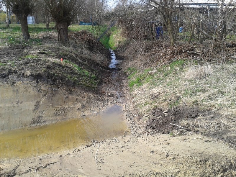 Ditch in the Diedrichshäger Moor project after completion of the compensation measure by ROSTOCK PORT.
