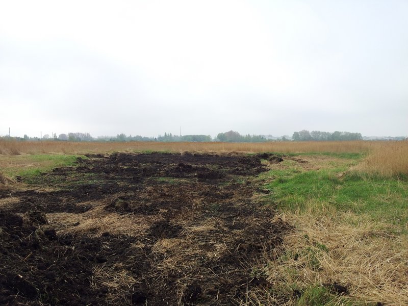 Ditch in the Diedrichshäger Moor project after completion of the compensation measure by ROSTOCK PORT.