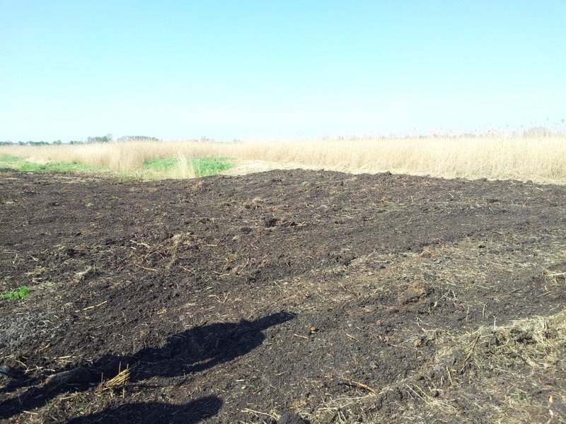 Ditch in the Diedrichshäger Moor project after completion of the compensation measure by ROSTOCK PORT.