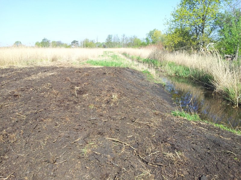 Ditch in the Diedrichshäger Moor project after completion of the compensation measure by ROSTOCK PORT.