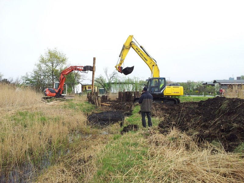 Ditch in the Diedrichshäger Moor project after completion of the compensation measure by ROSTOCK PORT.