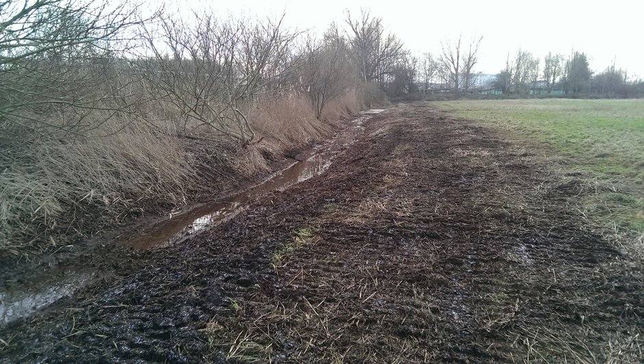 Ditch in the Diedrichshäger Moor project after completion of the compensation measure by ROSTOCK PORT.