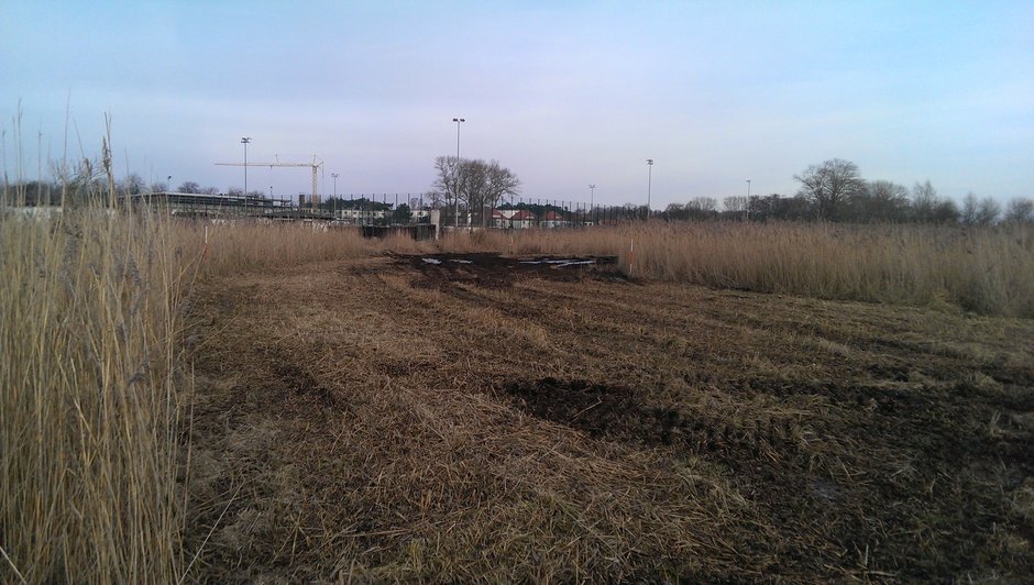 Area D in the Diedrichshäger Moor project after completion of the compensation measure by ROSTOCK PORT.
