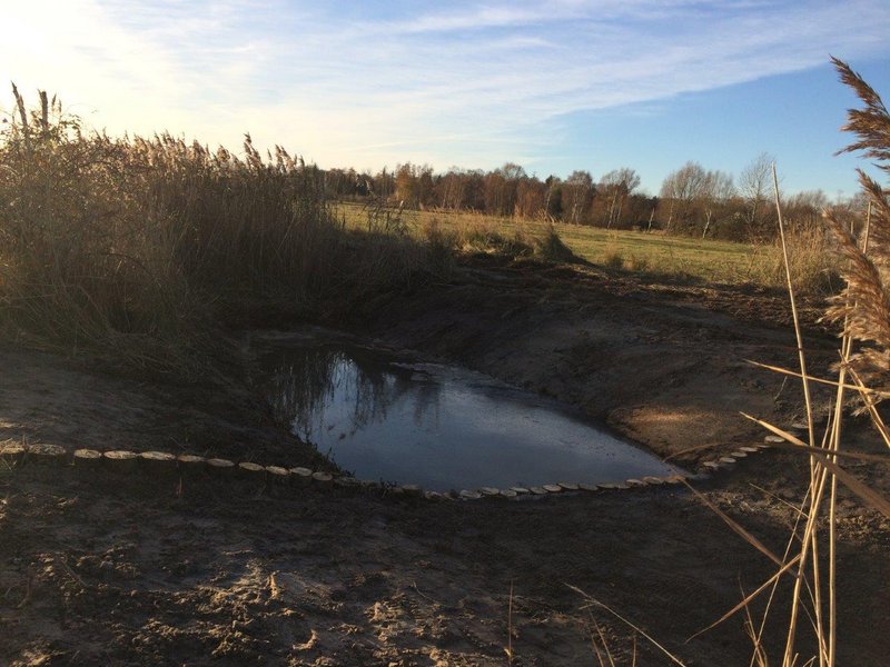 Ditch in the Diedrichshäger Moor project after completion of the compensation measure by ROSTOCK PORT.