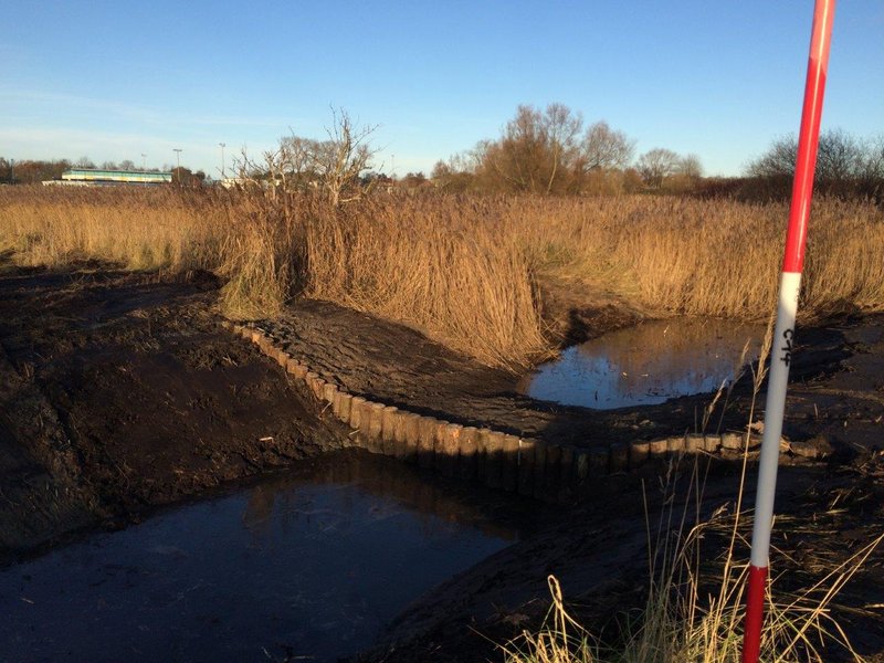 Ditch in the Diedrichshäger Moor project after completion of the compensation measure by ROSTOCK PORT.