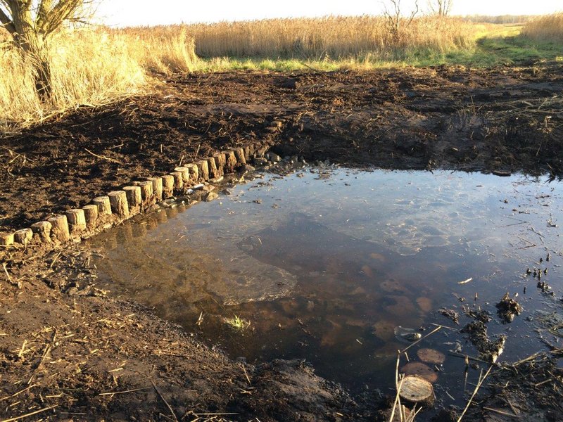Ditch in the Diedrichshäger Moor project after completion of the compensation measure by ROSTOCK PORT.