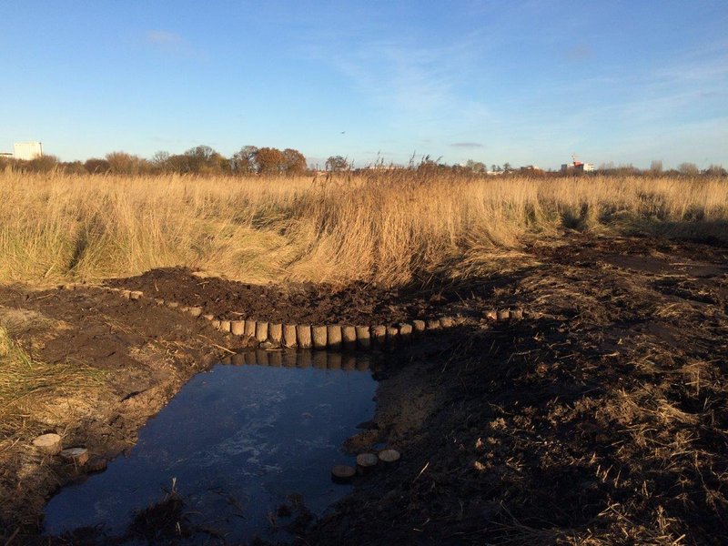 Ditch in the Diedrichshäger Moor project after completion of the compensation measure by ROSTOCK PORT.