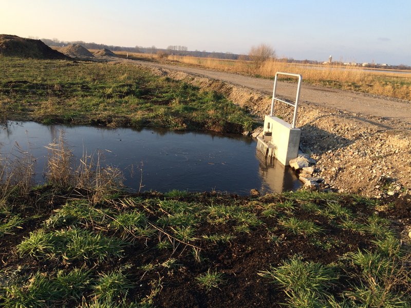 Area A in the Diedrichshäger Moor project in January 2018 during the compensation measure carried out by ROSTOCK PORT.