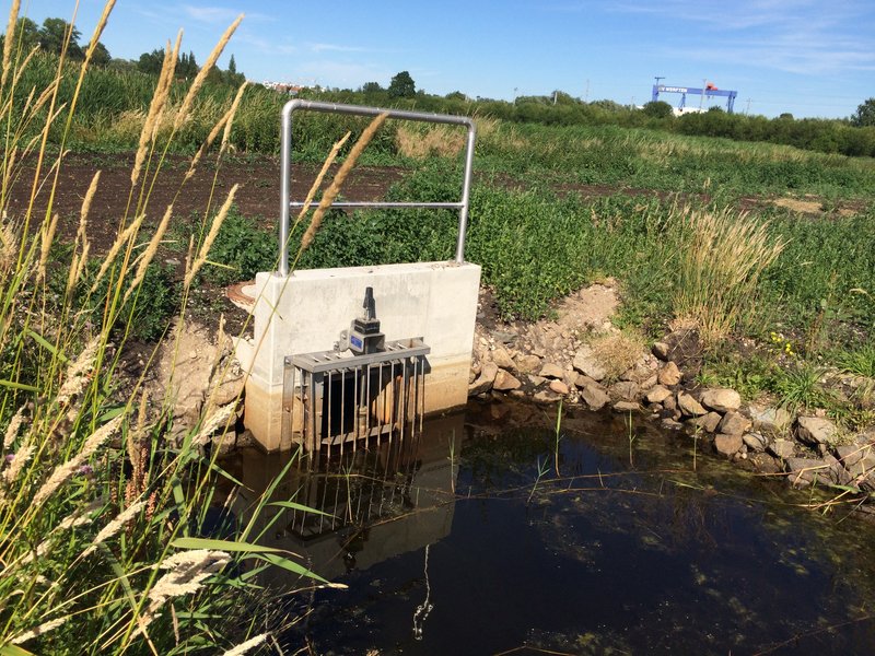 Area A in the Diedrichshäger Moor project in June 2018 during the compensation measure carried out by ROSTOCK PORT.