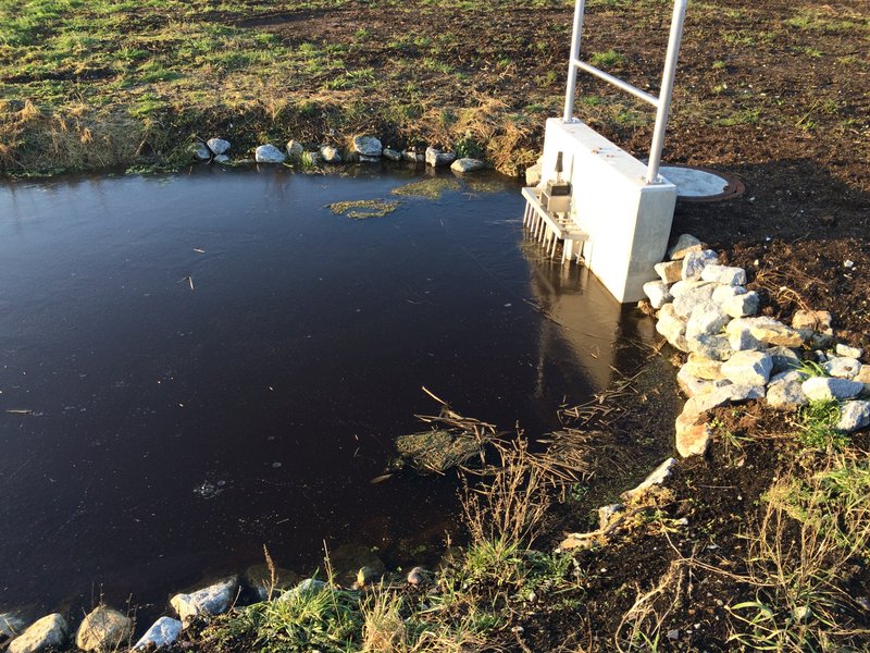 Area A in the Diedrichshäger Moor project in January 2018 during the compensation measure carried out by ROSTOCK PORT.