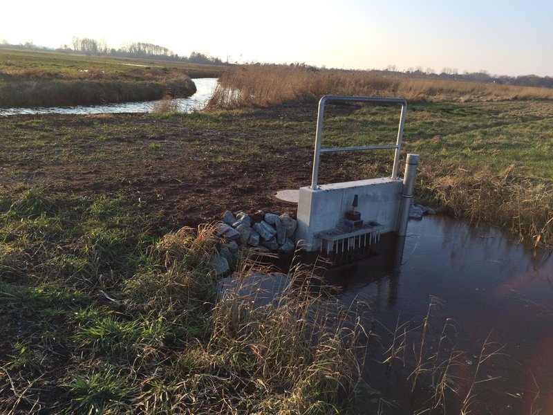 Area A in the Diedrichshäger Moor project in January 2018 during the compensation measure carried out by ROSTOCK PORT.