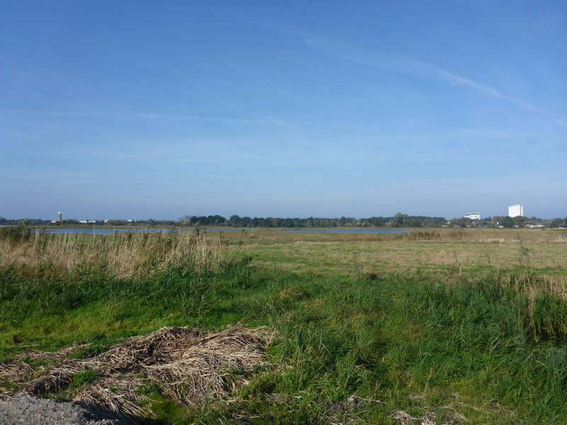 Area B in the Diedrichshäger Moor project after completion of the compensation measure by ROSTOCK PORT.