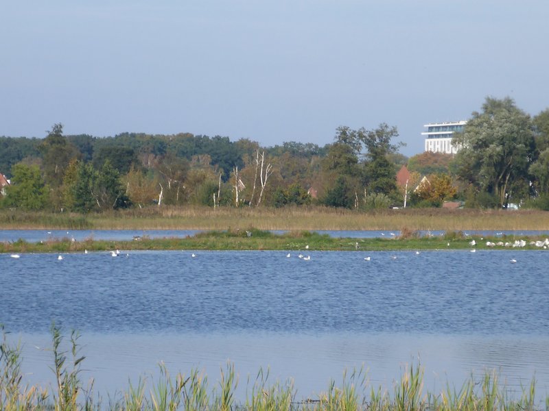 Aktuelle Publikation zur Geschichte und Aufwertungsmaßnahme des Moores erschienen 