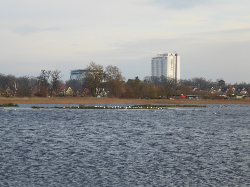Area B in the Diedrichshäger Moor project after completion of the compensation measure by ROSTOCK PORT.