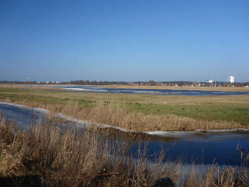 Area B in the Diedrichshäger Moor project after completion of the compensation measure by ROSTOCK PORT.