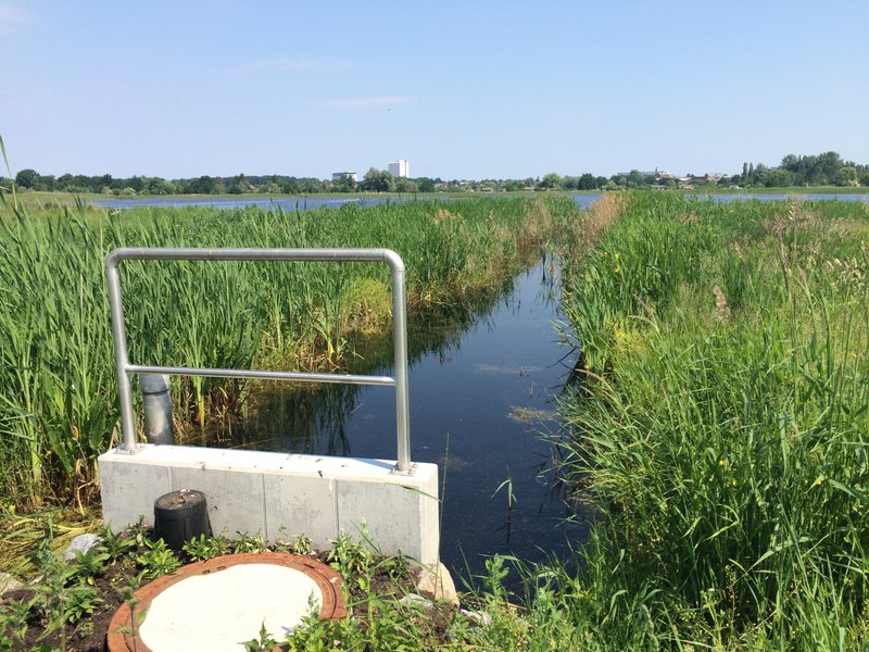 Area B in the Diedrichshäger Moor project after completion of the compensation measure by ROSTOCK PORT.