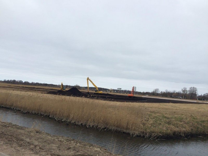 Several excavators are working in a dry reed field in the Diedrichshäger Moor project.