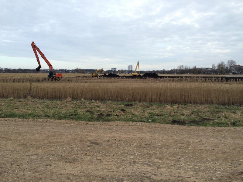 Several excavators are working in a dry reed field in the Diedrichshäger Moor project.