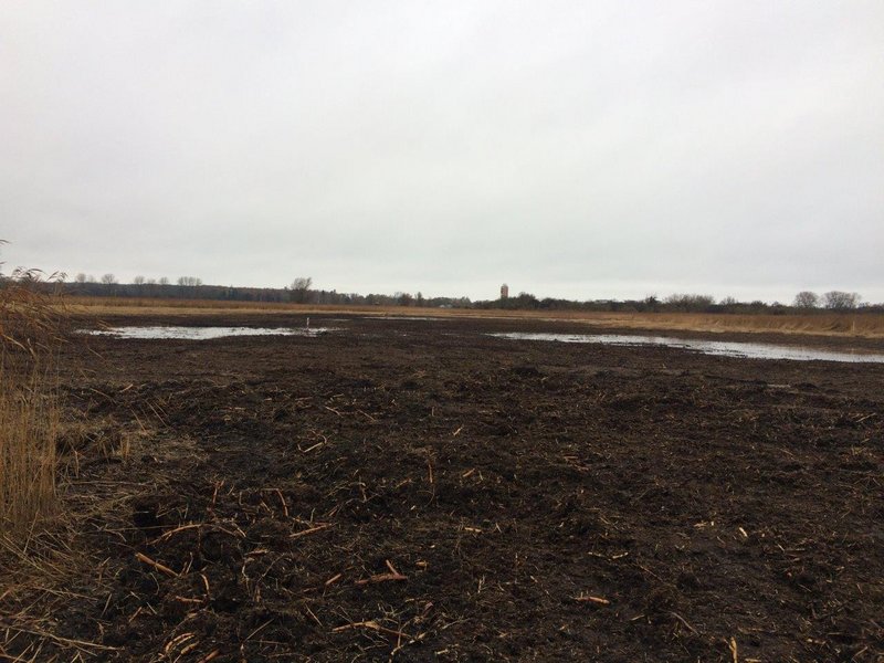An excavated area with large puddles in the Diedrichshäger Moor project.