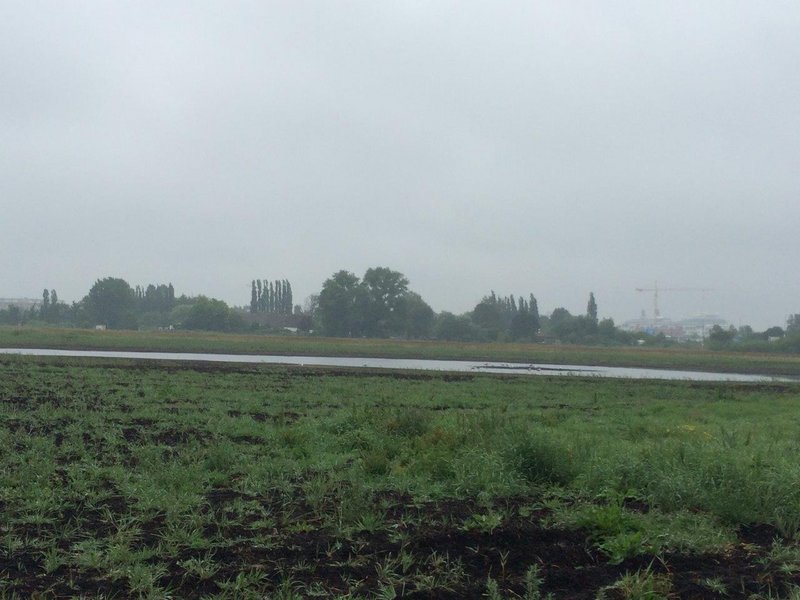 A wide green meadow in the Diedrichshäger Moor project with a narrow body of water in the background.